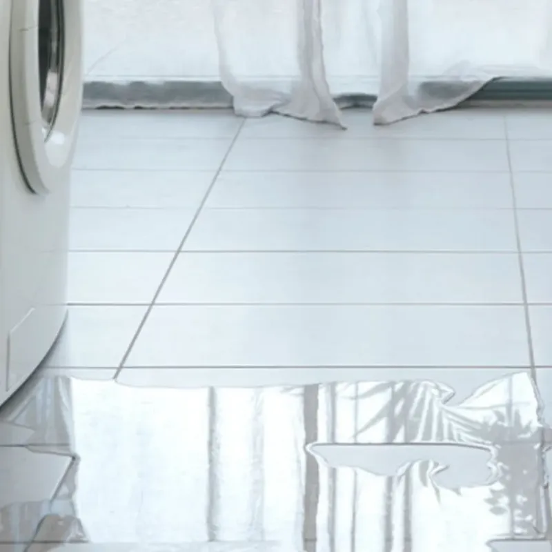 Appliance Leak Cleanup in Norway, MI