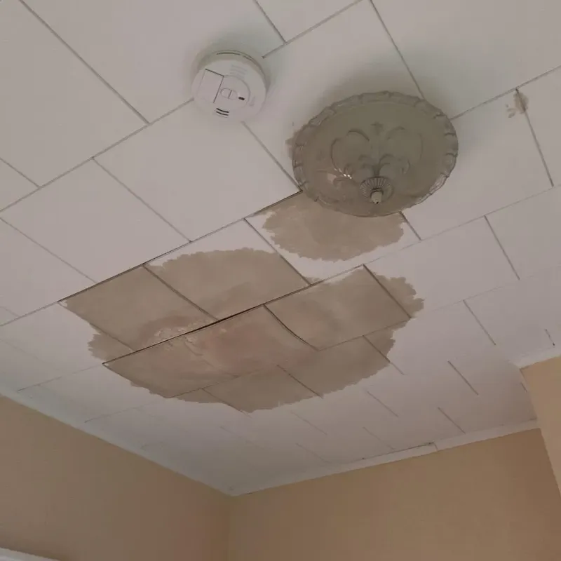 Ceiling Water Damage Repair in Norway, MI