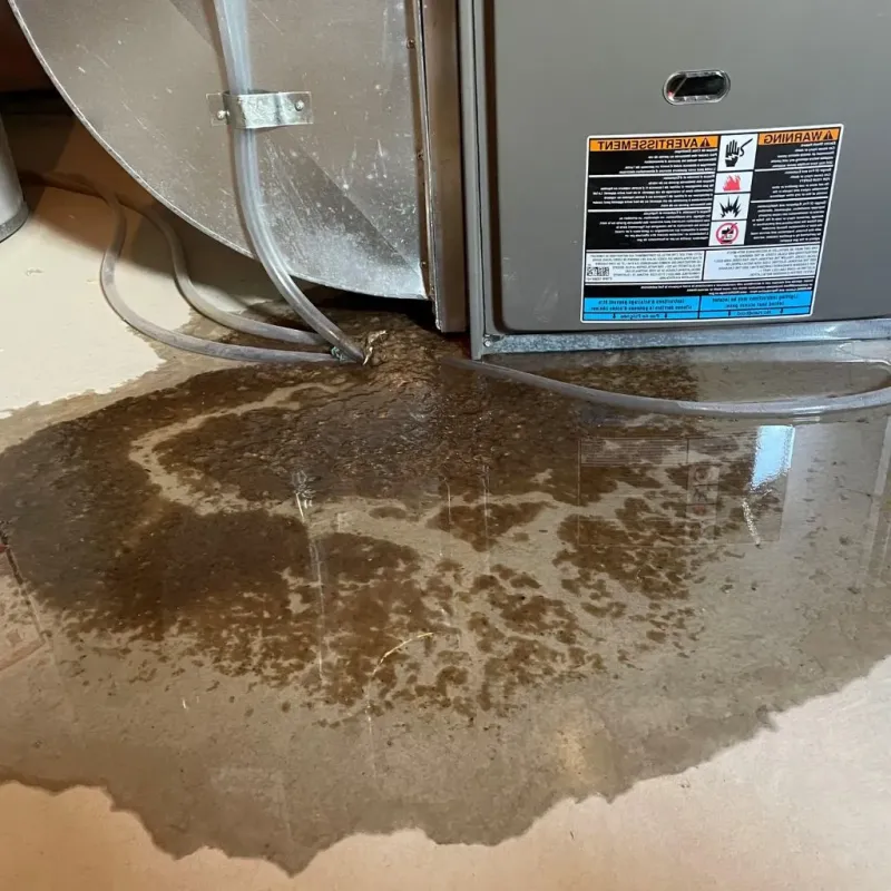 Pipe Burst and Leak Restoration in Norway, MI